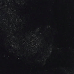 Aurora® - Bear - Bronson Black Bear™