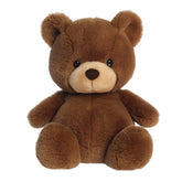 A brown plush teddy bear with soft fur and a classic design from Bear Stuffed Animals by Aurora.