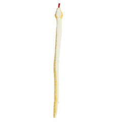 Aurora® - Snake - 50" Albino Burmese Python