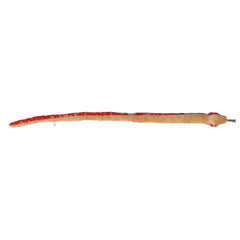 Aurora® - Snake - 50" Red Corn