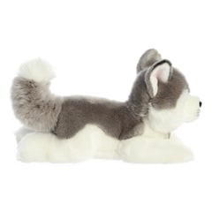 Aurora® - Miyoni® - Husky de 11"