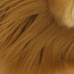 Aurora® - Miyoni® - Lion