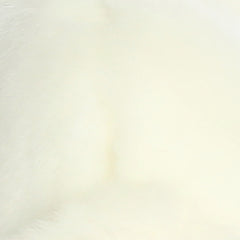 Aurora® - Miyoni® - American White Rabbit