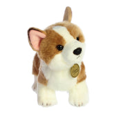 A golden and white Corgi plush toy from Miyoni by Aurora with short legs and a cheerful expression.