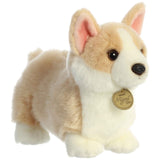 A Pembroke Welsh Corgi plush toy from Miyoni Tots by Aurora with tan and white fur and big ears.