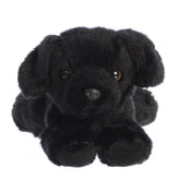 A black lab plush from Mini Flopsie by Aurora with velvety fur and a sweet, expressive face.