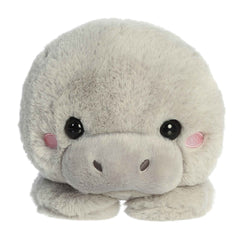 Aurora® - Too Cute™ - 9" Millie Manatee™