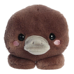 Aurora® - Too Cute™ - 9" Pimmy Platypus™