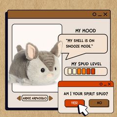 A spudsters product card for the Arnie Armadillo plush by Aurora