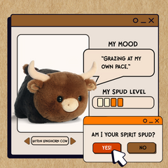 A spudsters product card for the Layton Longhorn Cow plush by Aurora