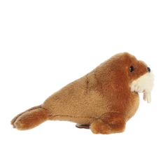 Aurora® - Shoulderkins™ - 6.5" Waffle Walrus™