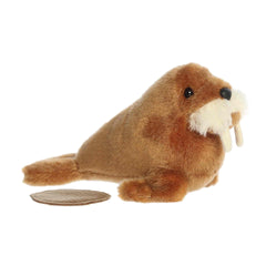 Aurora® - Shoulderkins™ - 6.5" Waffle Walrus™