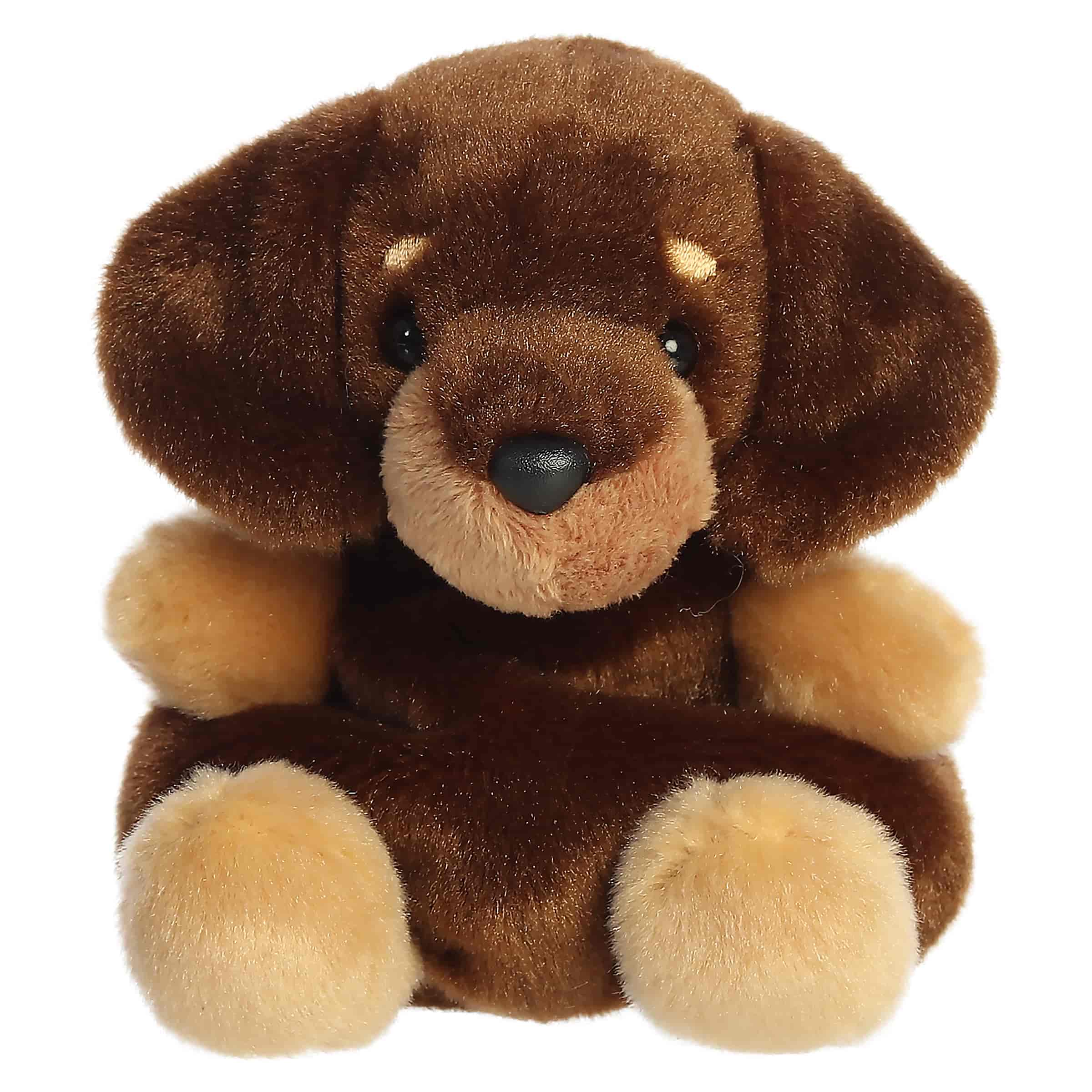 Houdini Dachshund plush, brown and tan with floppy ears and soulful eyes, from Palm Pals.