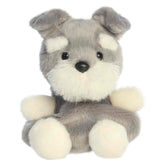 Korra Schnauzer plush, grey with white beard and inquisitive expression, from Palm Pals.