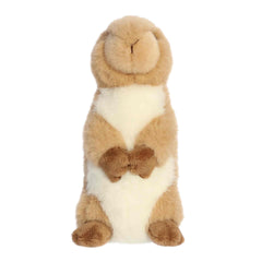 Aurora® - Mini Flopsie™ - 8" Clover Prairie Dog™
