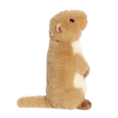 Aurora® - Mini Flopsie™ - 8" Clover Prairie Dog™