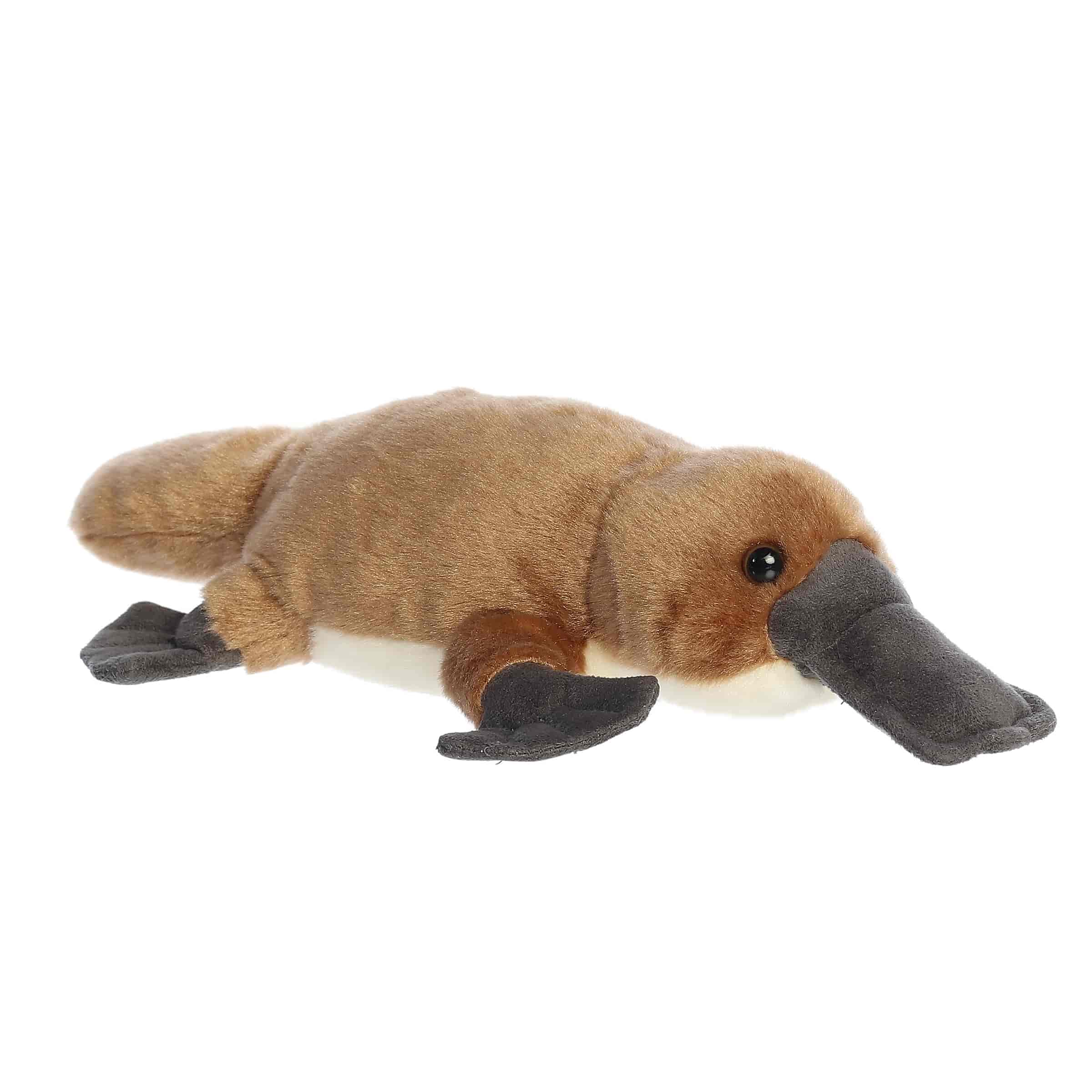 A brown platypus plush with a soft bill and webbed flippers from Mini Flopsies by Aurora.