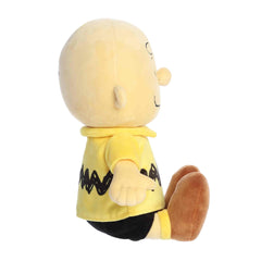 Aurora® - Peanuts® - 13" Charlie Brown