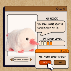 A spudsters product card for the Philo Pink Platypus plush by Aurora
