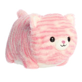 Aurora® - Spudsters™ - 10" Taylor Pink Tabby™