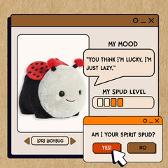 A spudsters product card for the Lori Ladybug plush by Aurora