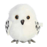 Wind Up Owl toy with fluffy white owl body, bright eyes, and wind-up feet