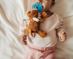 WubbaNub® - Longhorn Bull