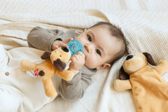 WubbaNub® - Detachable Brown Dog