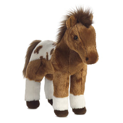 Aurora® - Western - 12" Dakota