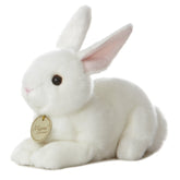 Aurora® - Miyoni® - American White Rabbit