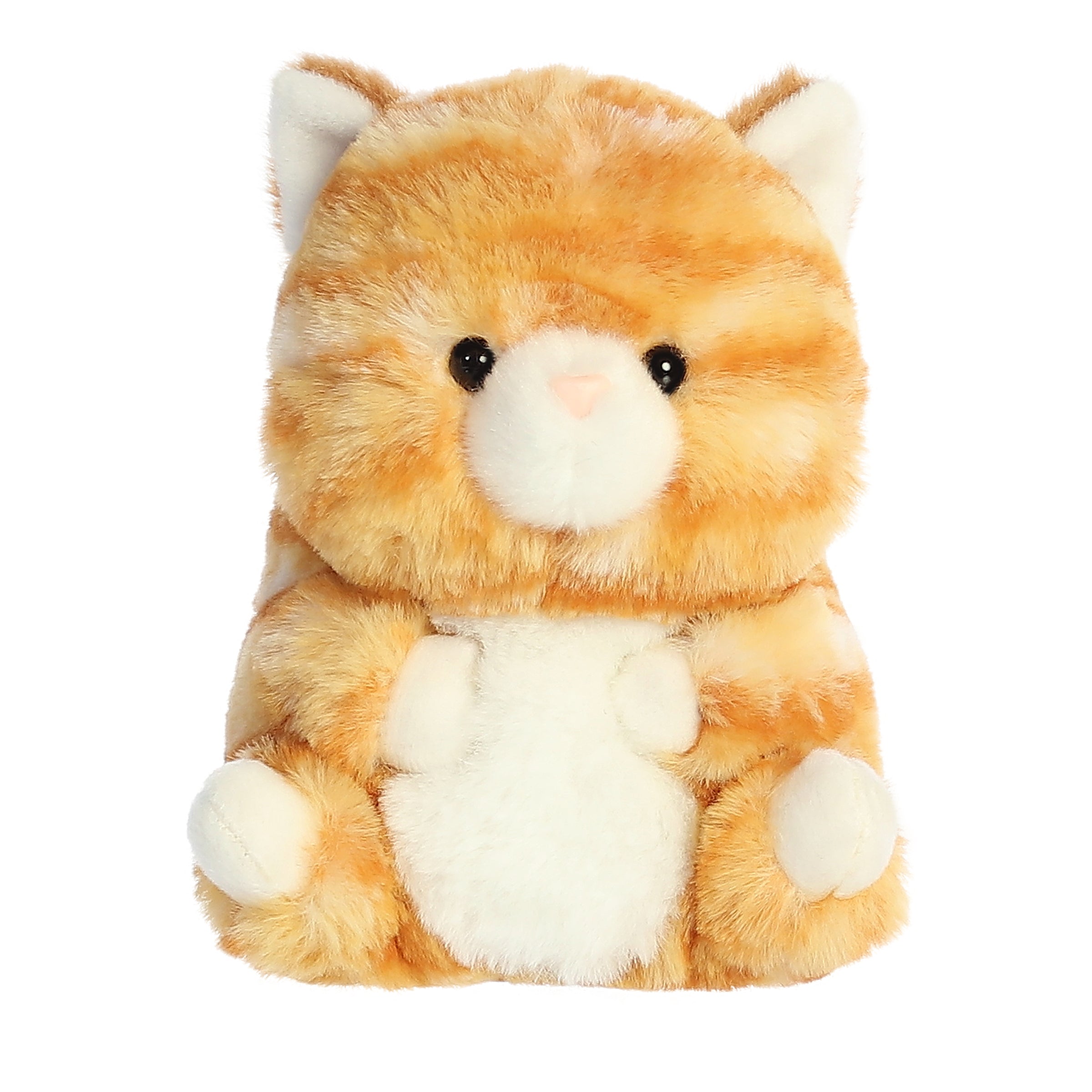 An adorable round kitten, orange-striped plush kitten, with its arms around its tummy and legs pointed upwards to the sky.
