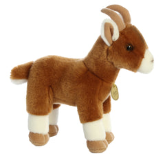 Aurora® - Miyoni® - 11" Goat