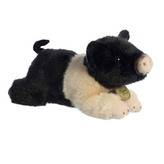 Aurora® - Miyoni® - Hampshire Pig
