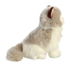 Aurora® - Miyoni® - Gato Ragdoll de 9"