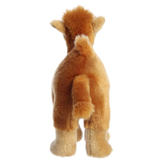 Aurora® - Miyoni® - 11" Dromedary Camel