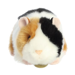 Aurora® - Miyoni® - 7.5" American Guinea Pig