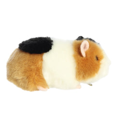 Aurora® - Miyoni® - 7.5" American Guinea Pig