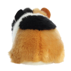 Aurora® - Miyoni® - 7.5" American Guinea Pig