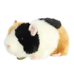 Aurora® - Miyoni® - 7.5" American Guinea Pig