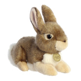 Miyoni Eastern Cottontail Rabbit Plush, soft brown fur and attentive brown eyes