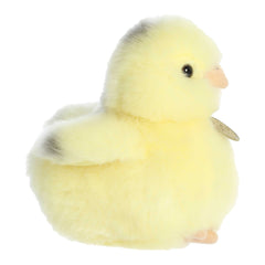 Aurora® - Miyoni® Tots - 5.5" Ameraucana Chick