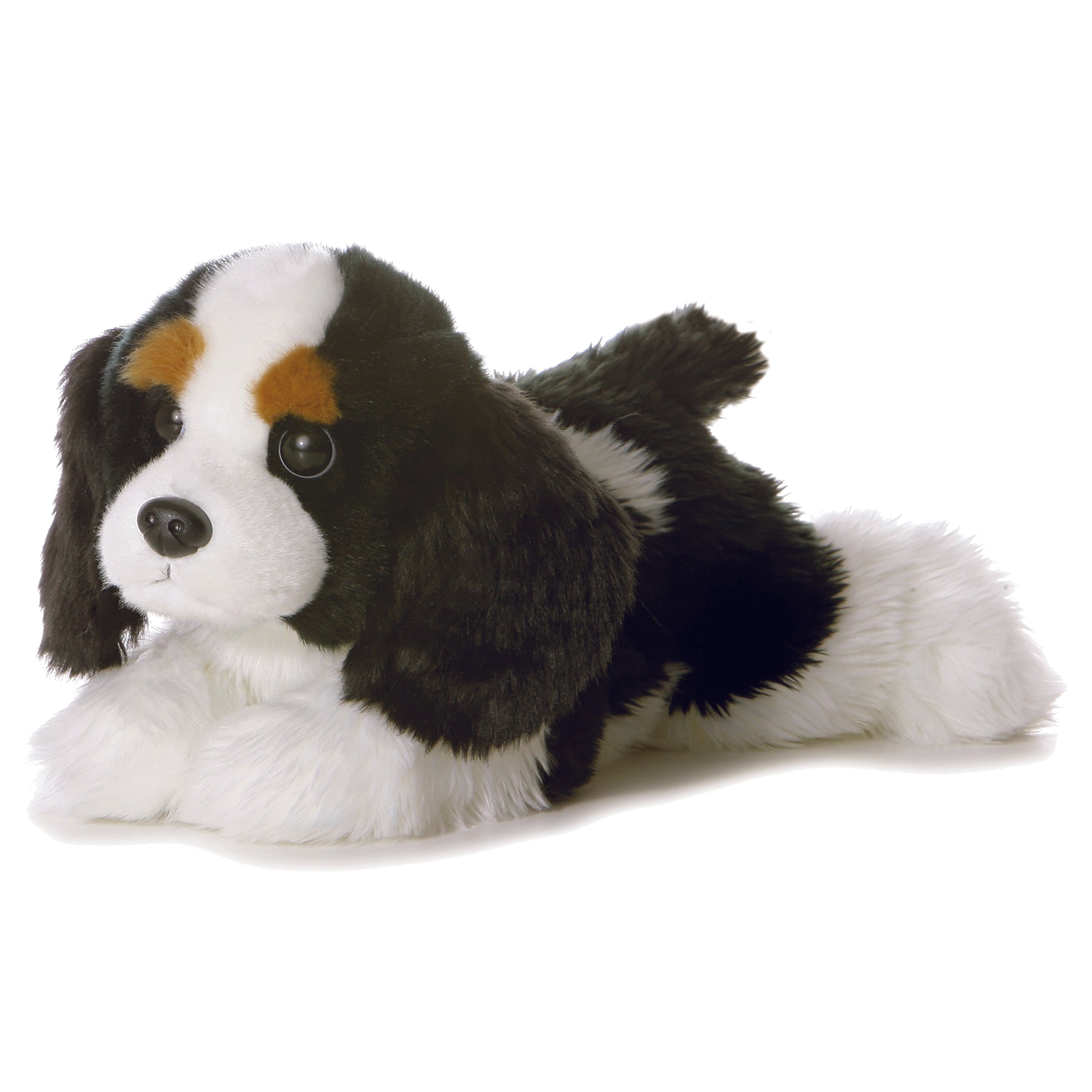 Plush spaniel puppy with black, white, and tan markings and sweet puppy eyes.