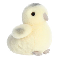 Soft and fluffy Ameraucana chick plush with creamy white fur and grey accents, ideal for cuddling, from Mini Flopsies.