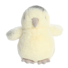 Aurora® - Mini Flopsie™ - 8" Ameraucana Chick