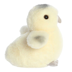 Aurora® - Mini Flopsie™ - 8" Ameraucana Chick