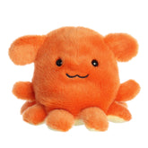 Aurora® - Palm Pals™ - Ditsy Octopus™ de 5"