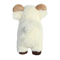 Aurora® - Eco Nation™ - 8" Ram