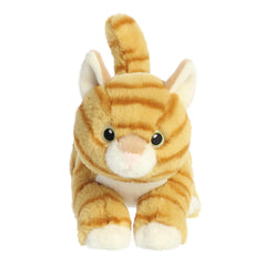 Aurora® - Eco Nation™ - 8.5" Orange Tabby