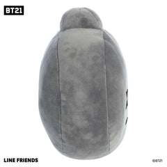 Aurora® - BT21 - 12" VAN