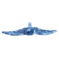 Aurora® - Destination Nation™ - 19" Stingray - Blue